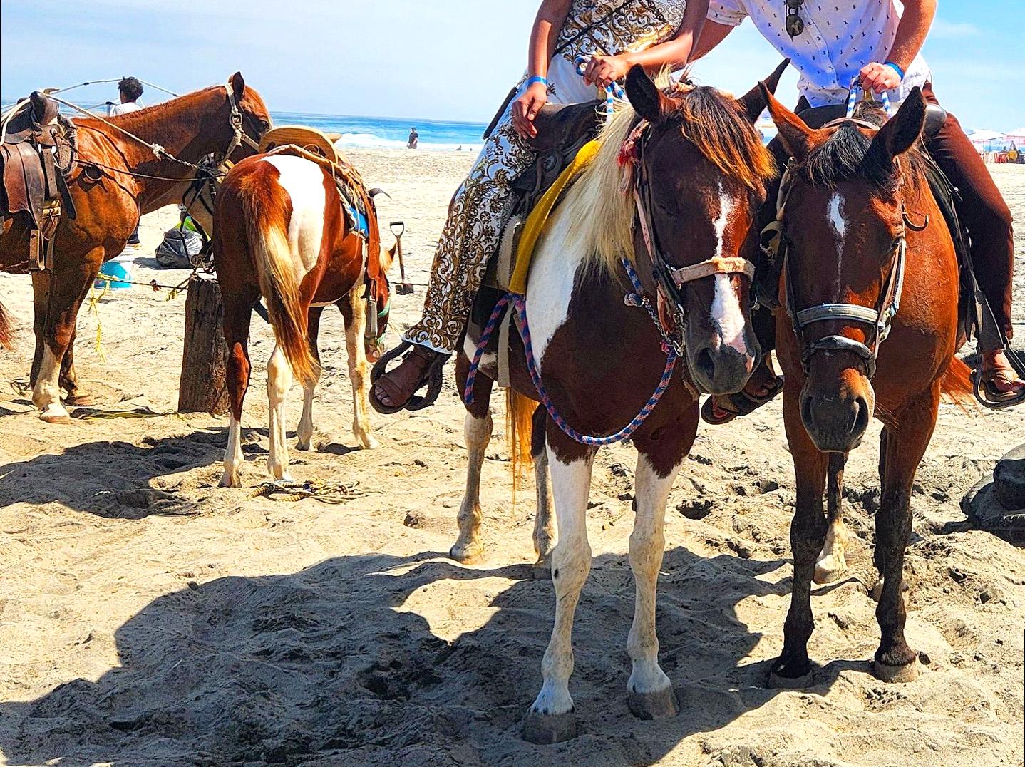 Beachside Horse Riding: An Adventurous Experience