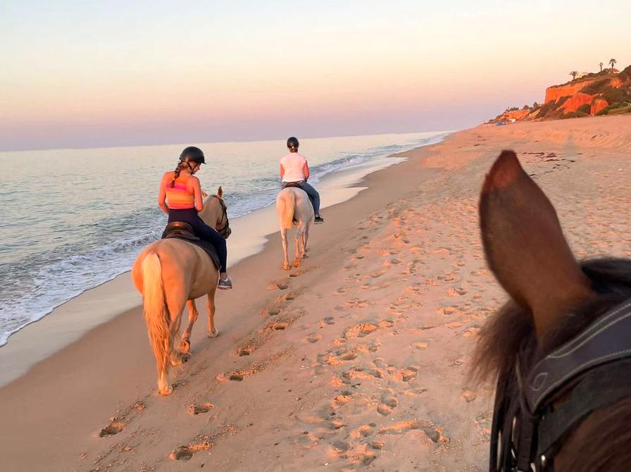 Explore the Coastline: Horseback Riding Adventure