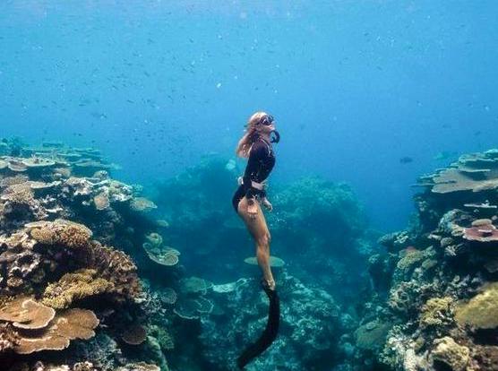 Journey Through Cooktown's Coral Sector