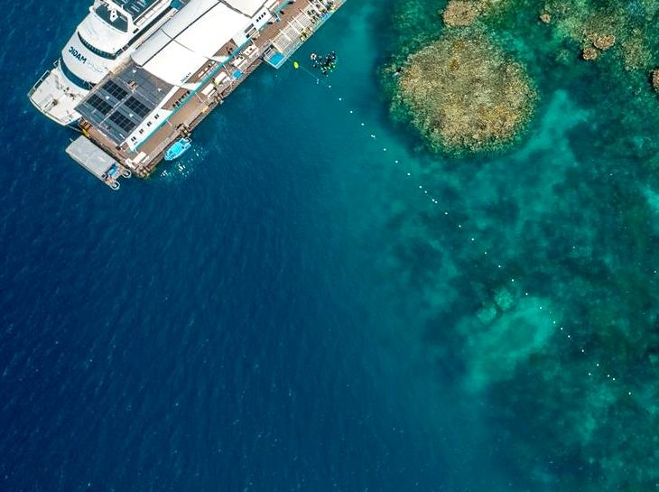 Investigating the Margin of Moore Reef